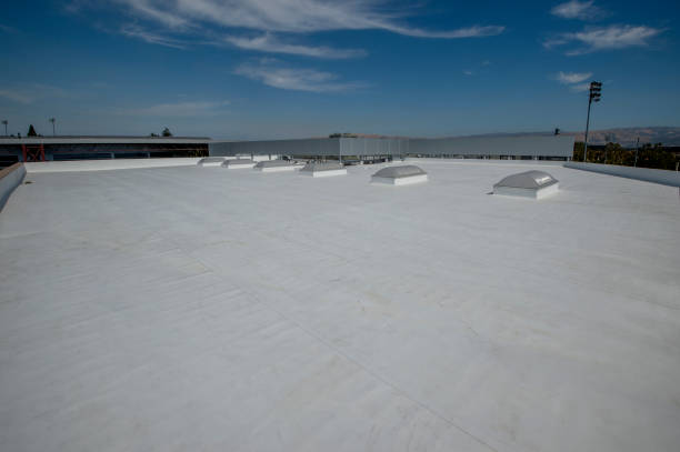 Best Chimney Flashing Repair  in Cridersville, OH