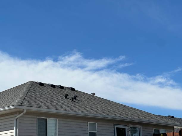 Best Steel Roofing  in Cridersville, OH
